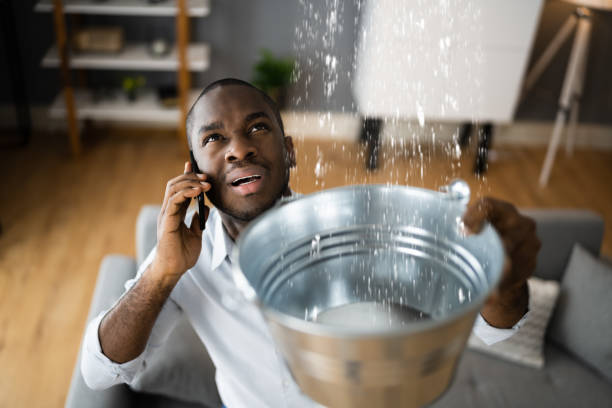 Best 24/7 water damage repair  in Palo, IA