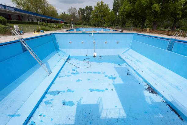 Best Carpet water damage restoration  in Palo, IA
