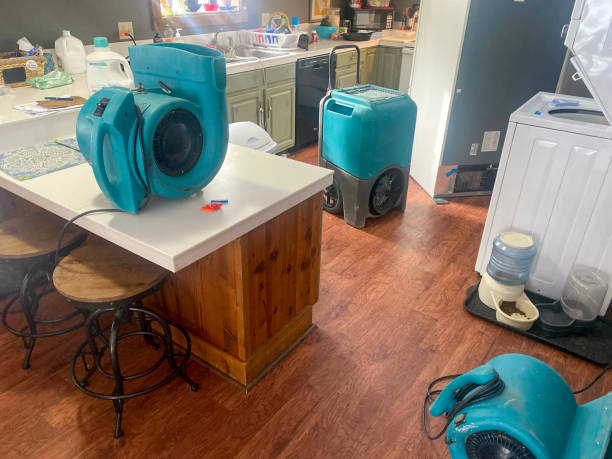 Best Water damage restoration near me  in Palo, IA