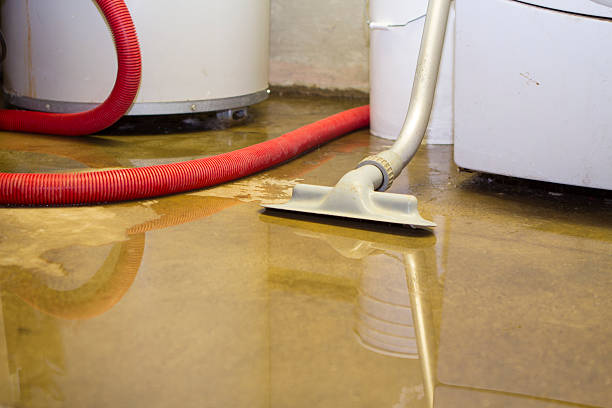 Best Flood damage cleanup  in Palo, IA