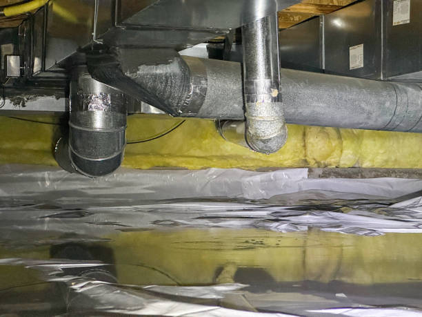 Best Flooded house restoration  in Palo, IA