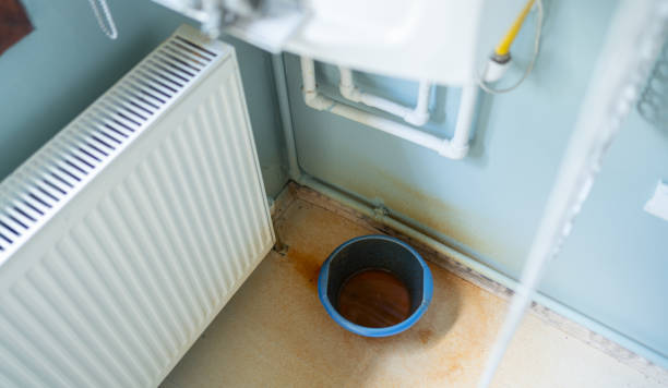 Best Fire Damage Restoration  in Palo, IA