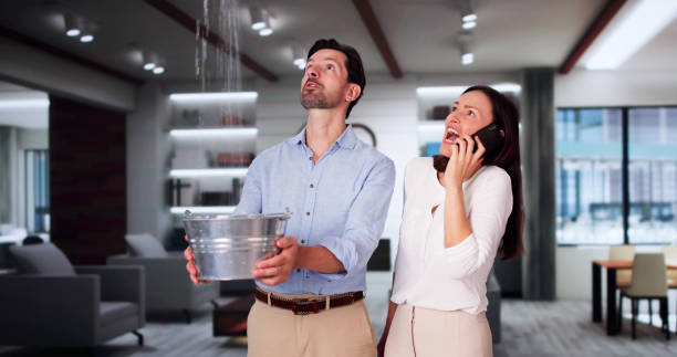 Best Commercial water damage restoration  in Palo, IA